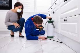 Best Real Estate Pest Inspections  in Manchester, MI